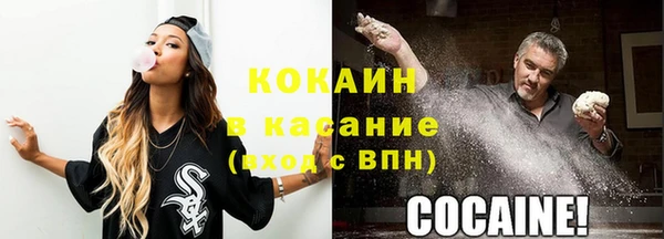 стафф Алзамай