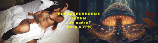 крисы Алексин