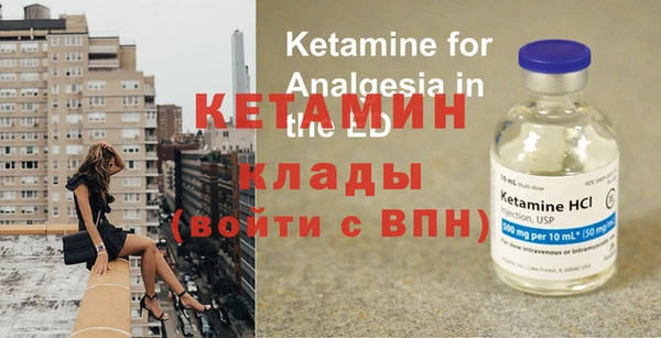 крисы Алексин