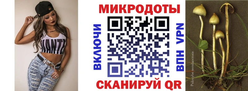 Галлюциногенные грибы Psilocybe  Купить где  Старый Крым 